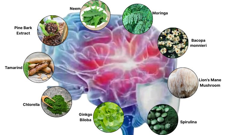 Pineal Guardian Ingredients